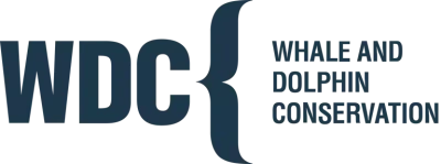 Logo Whale And Dolphin Conservation